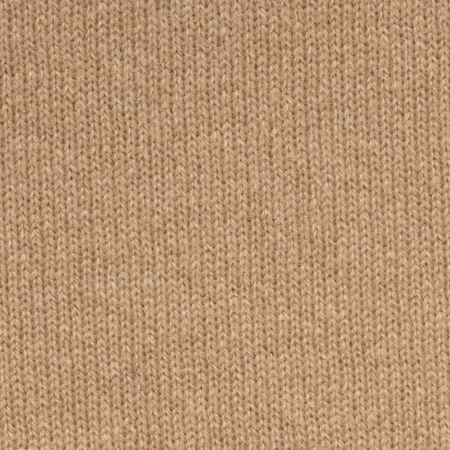 Camel Cashmere