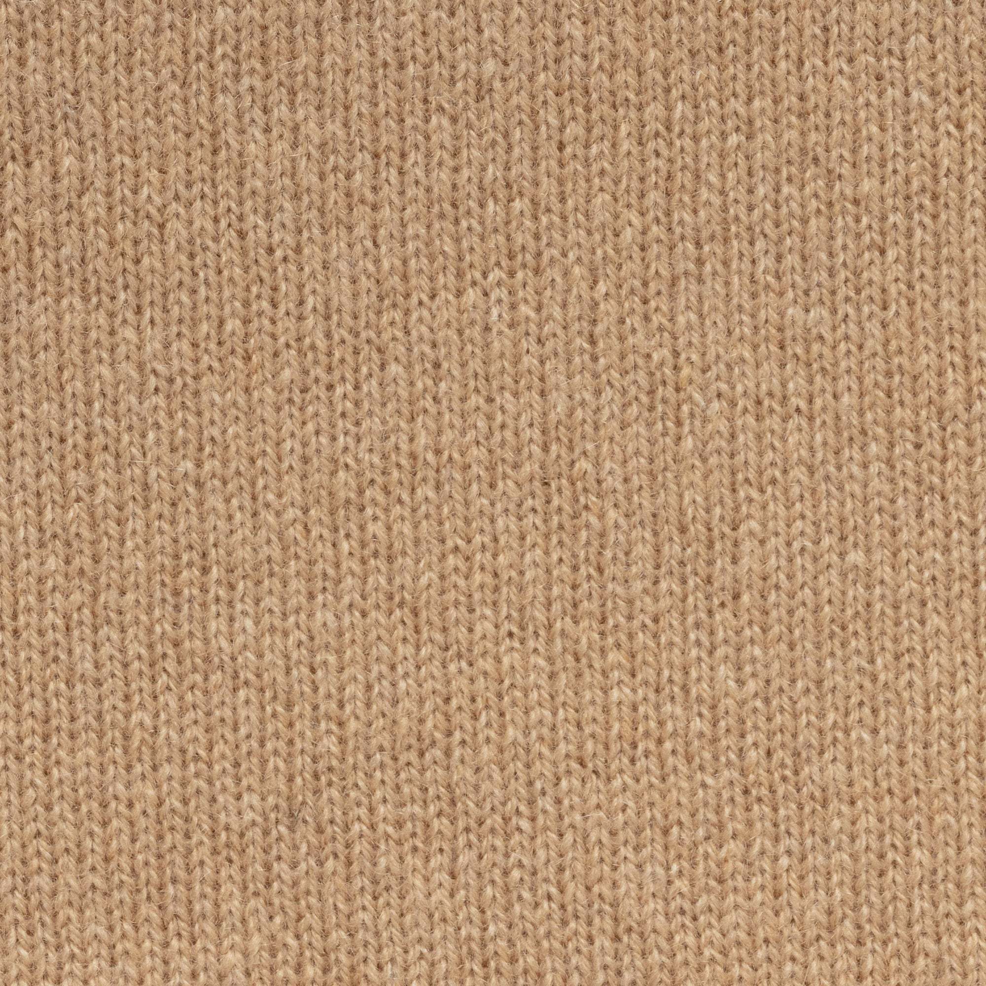 Camel Cashmere